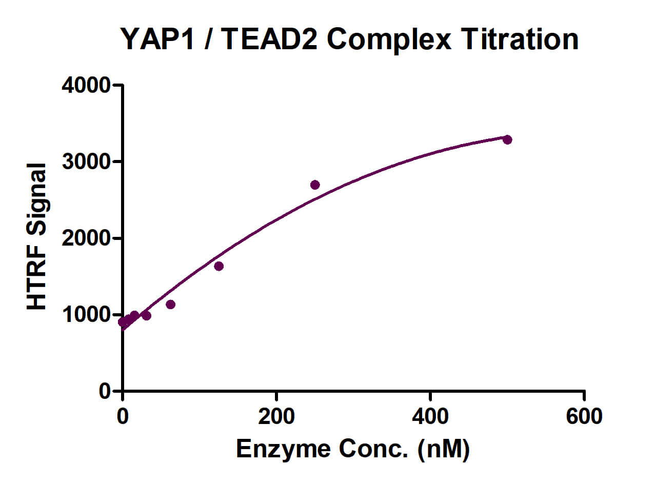 HTRF Assay for YAP1 / TEAD2 activity.