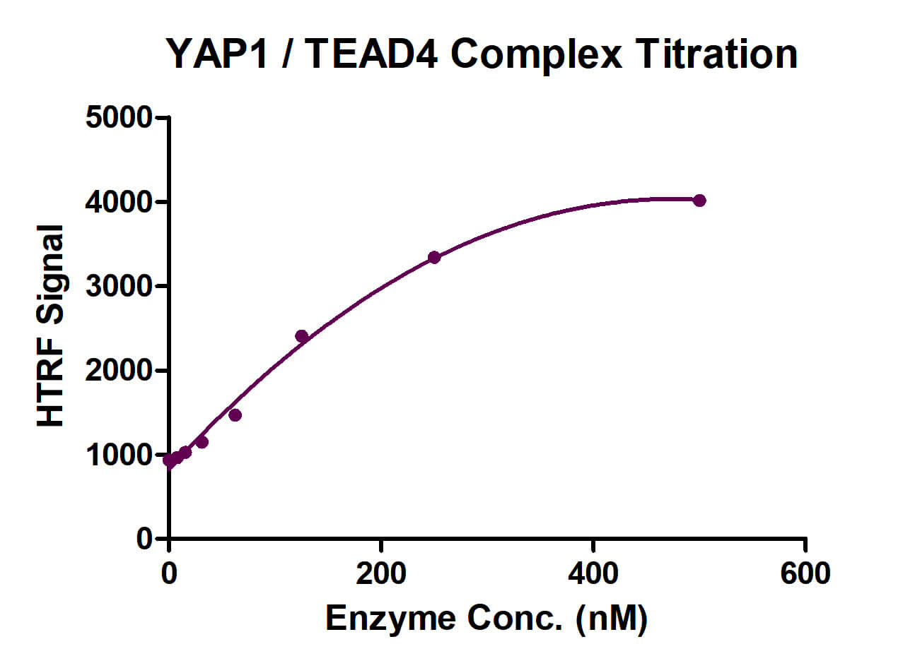 HTRF Assay for YAP1 / TEAD4 activity.