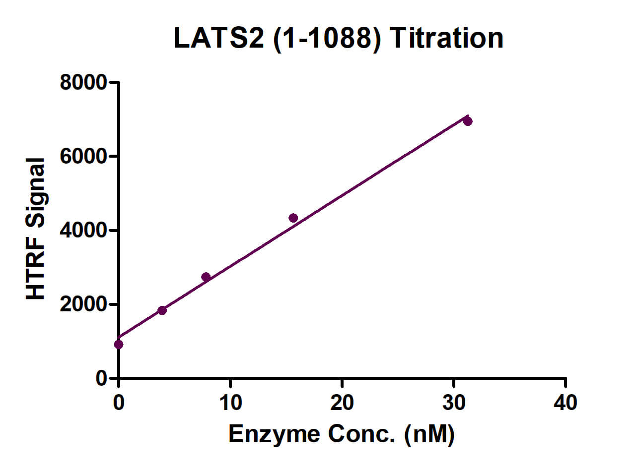 HTRF Assay for LATS2 activity.