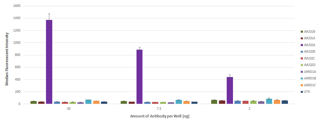 AbFlex<sup>&reg;</sup> JMJD2A antibody (rAb) tested by Western blot.