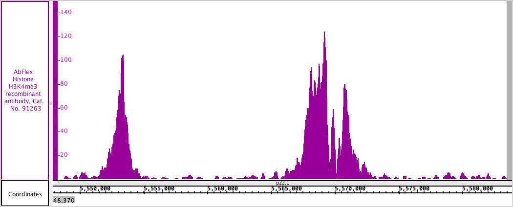 AbFlex<sup>&reg;</sup> Histone H3K4me3 antibody (rAb) tested by ChIP-Seq.