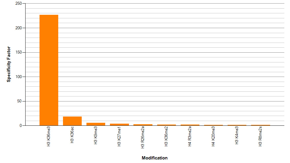 Histone H3K36me3 antibody (rAb) specificity tested by peptide array analysis.