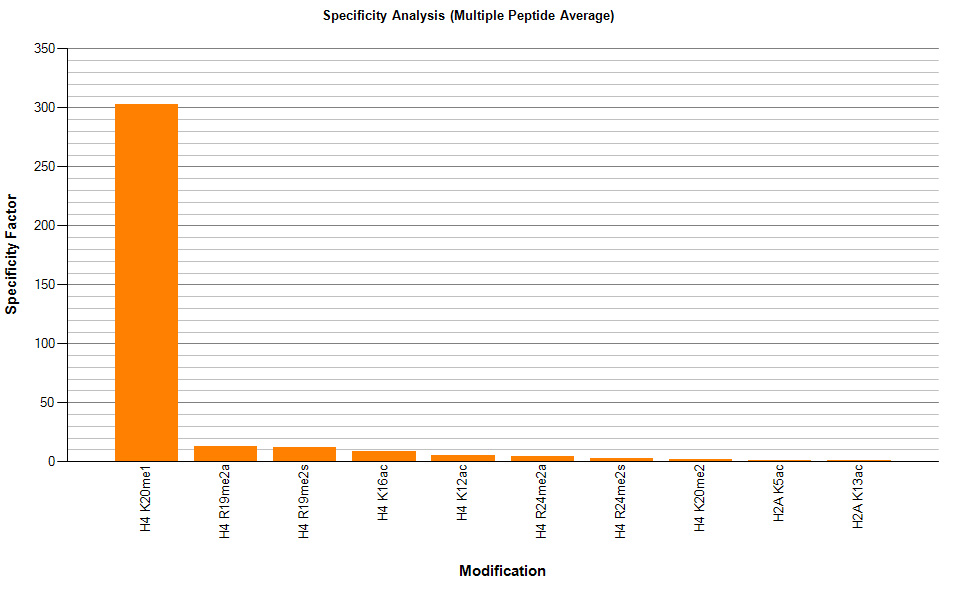 AbFlex<sup>&reg;</sup> Histone H4K20me1 antibody specificity tested by peptide array analysis