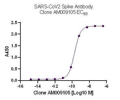 AbFlex SARS-CoV-2 Spike Antibody (rAb) (AM009105) tested by ELISA using SARS Spike protein RBD.
