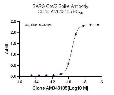 AbFlex SARS-CoV-2 Spike Antibody (rAb) (AM043105) tested by ELISA using SARS Spike protein RBD.