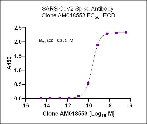 SARS-CoV-2 Spike Antibody (rAb) (AM018553) tested by ELISA