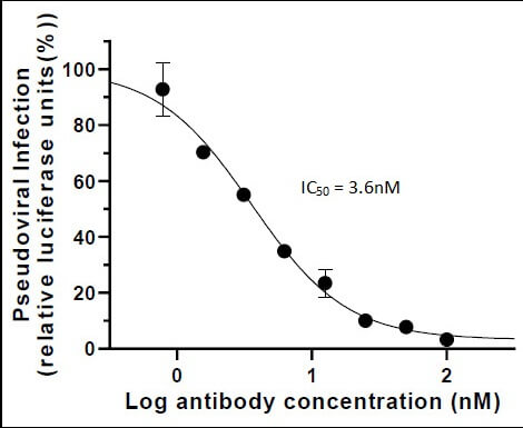 SARS-CoV-2 Spike Antibody (rAb) (AM063553) tested by Neutralization.