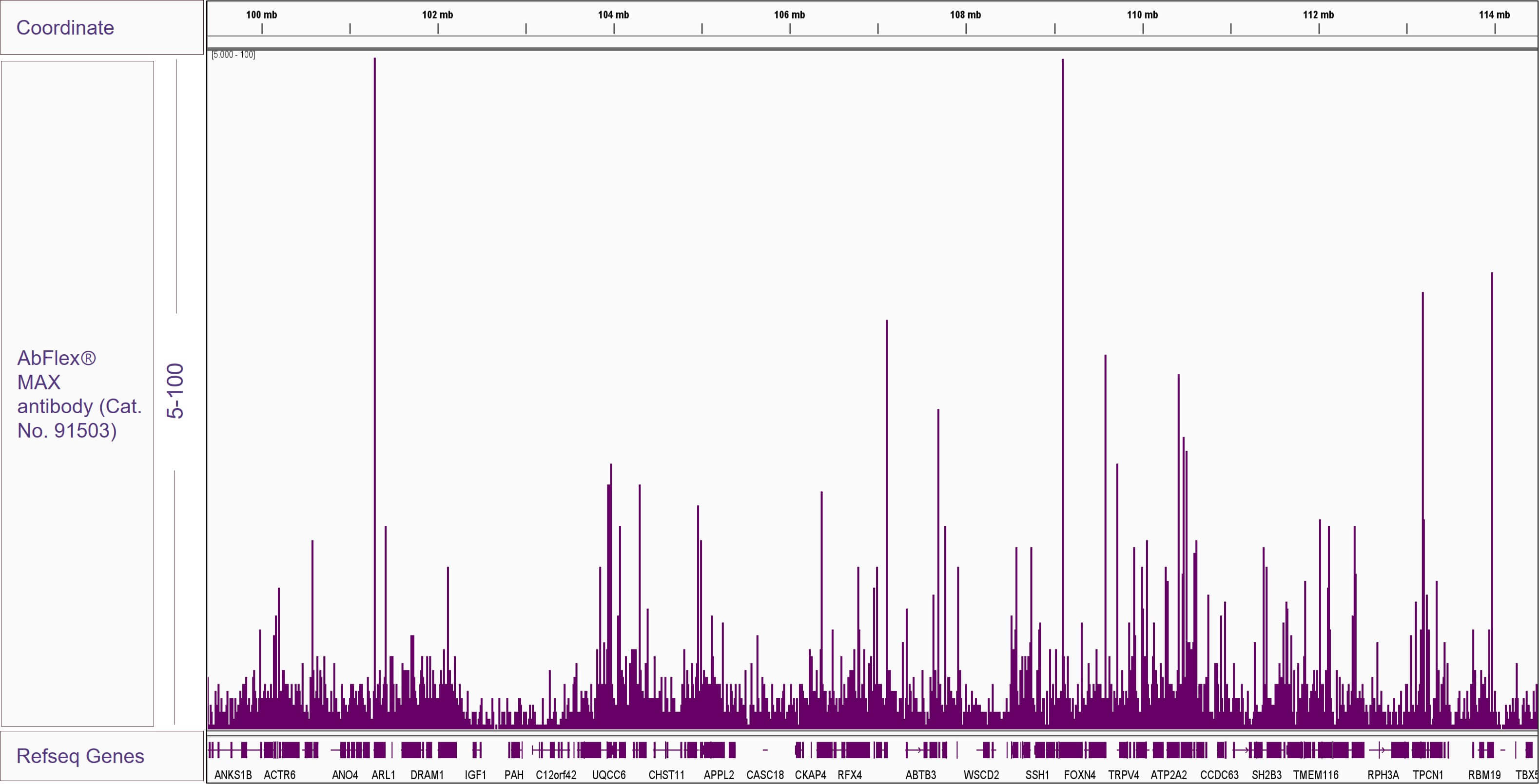 AbFlex<sup>®</sup> MAX antibody (rAb) tested by ChIP-Seq.