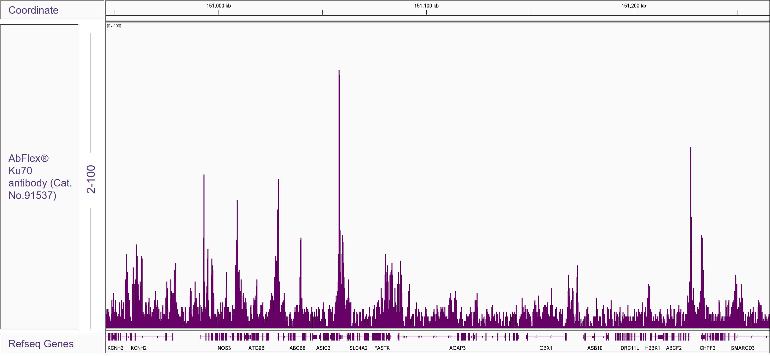 AbFlex<sup>®</sup> XRCC6 (Ku70) antibody (rAb) tested by ChIP-chip/ChIP-Seq.