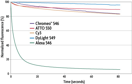 Photobleaching analysis of dyes excitable in the 530-550 nm range
