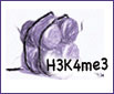 Click the image for more information on one of Active Motif's Histone H3 trimethyl Lys4 antibodies. H3K4me3 modification