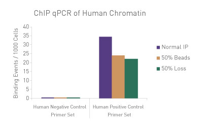 ChIP qPCR analysis using human chromatin