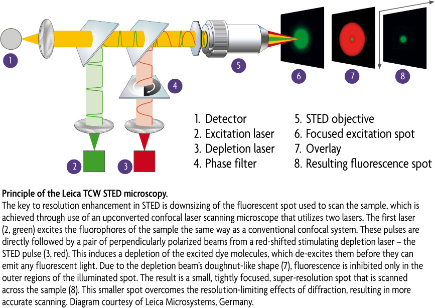 STED Microscopy Products
