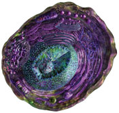 An exploded illustration detailing the internal components of a mammalian cell