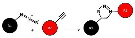 Figure 1: Principle of the click reaction between an azide (R1) and alkyne (R2).