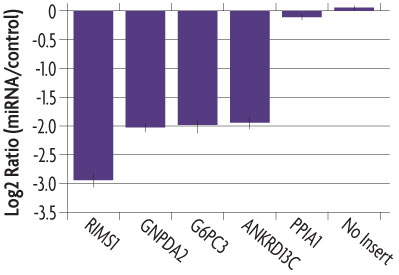 Graph showing dose response of a LightSwitch SYT8 Promoter Reporter vector stimulated by 5 different estrogen compounds