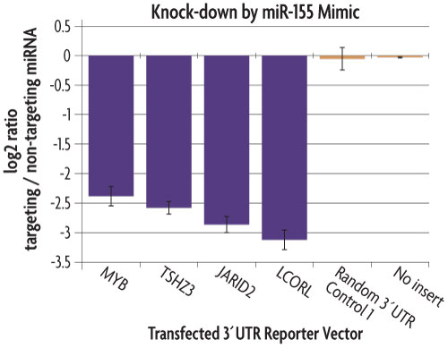 Graph demonstrating knock-down of 3'UTR targets by miR-155 mimic