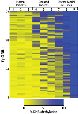 Heat map of Targeted Next-Gen Bisulfite Sequencing data