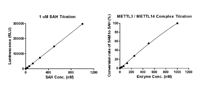 MTase-Glo assay for METTL3/METTL4 Complex m6A methyltransferase activity