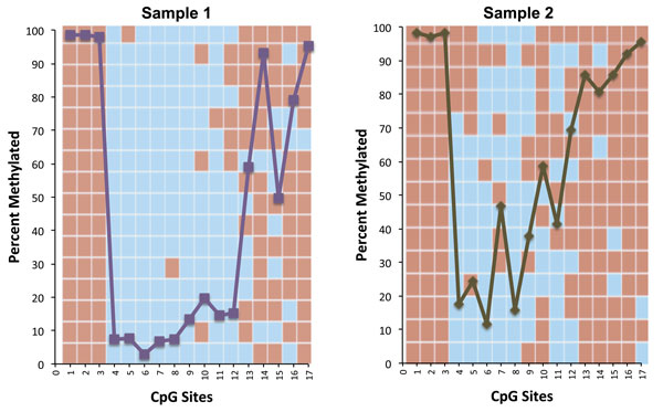 Comparison of data generated by Active Motif Epigenetic Services comparing Sanger and Targeted Next-Gen Bisulfite Sequencing methods
