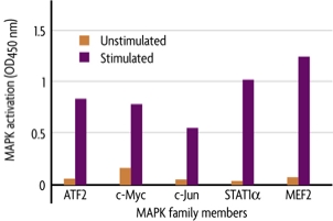 TransAM MEF2 data