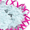 Multiplex Epigenetic Profiling Webinar