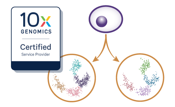 Single-Cell Multiome Service