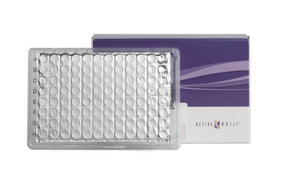 Nextera™-Compatible UDI Primers (1–96)