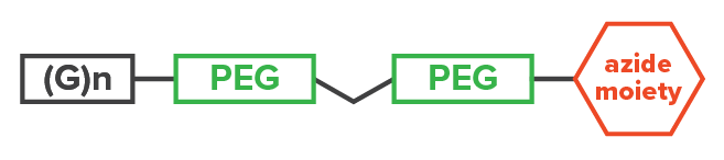 The Sortag-IT™ Labeling Kit for AbFlex recombinant antibodies