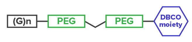 The Sortag-IT™ Labeling Kit for AbFlex recombinant antibodies