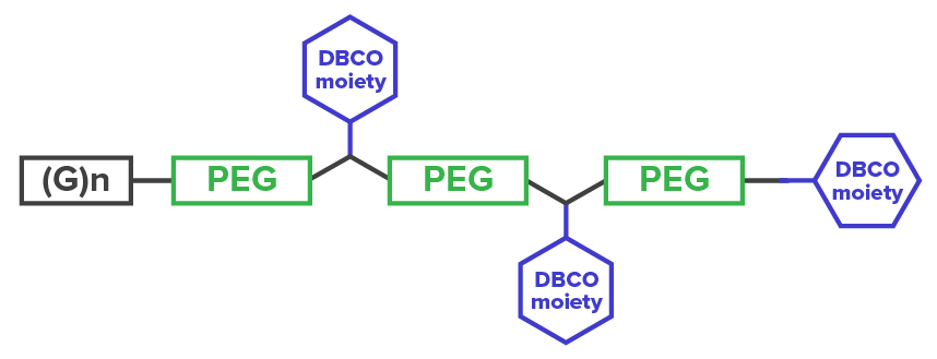 The Sortag-IT™ Labeling Kit for AbFlex recombinant antibodies