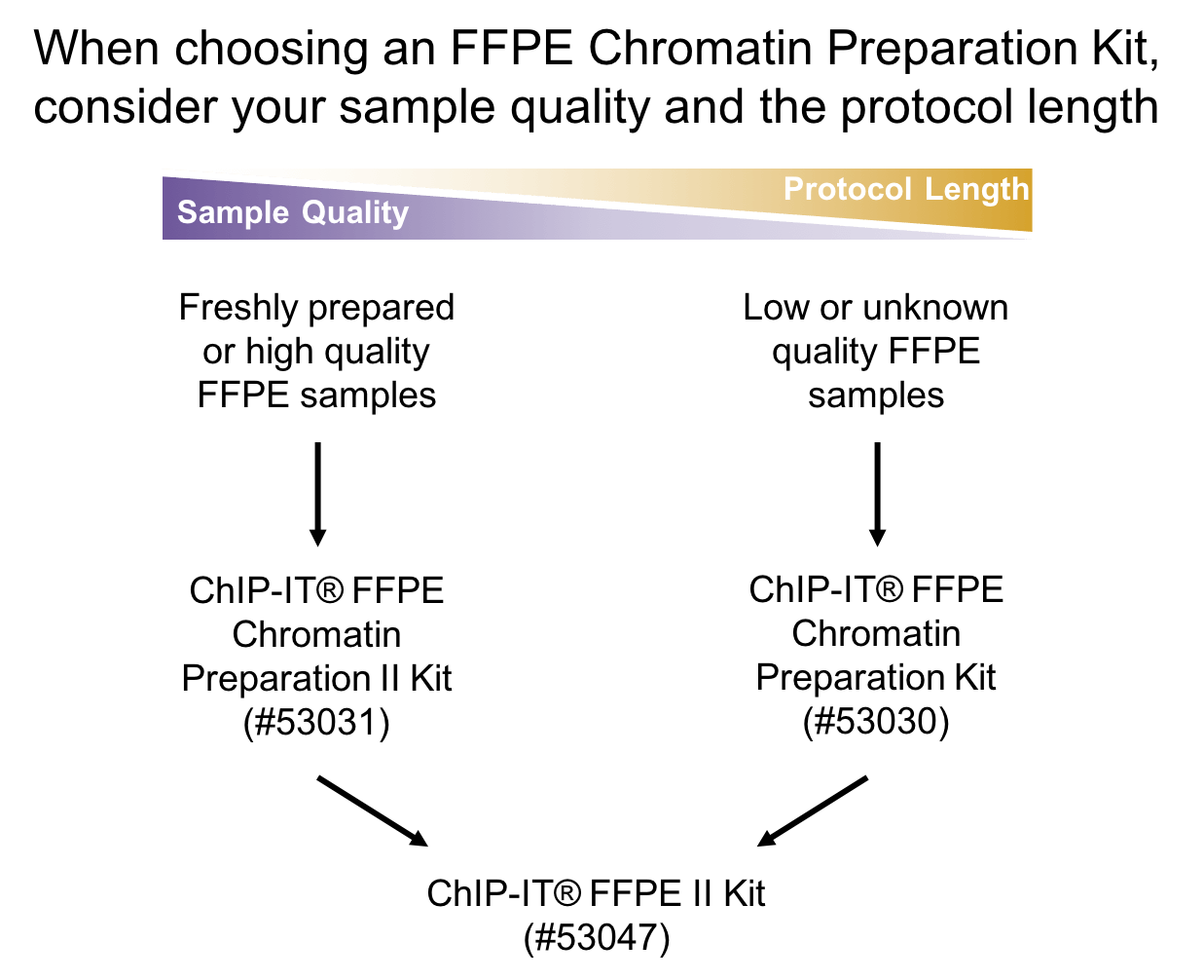 Formalin-fixed, Paraffin-embedded (FFPE) Tissue Block - Research