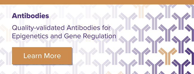 Active Motif Quality-validated Antibodies