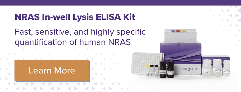 Active Motif End-to-End NRAS Kit