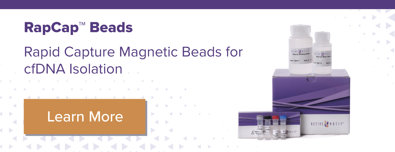 Active Motif RapCap Beads