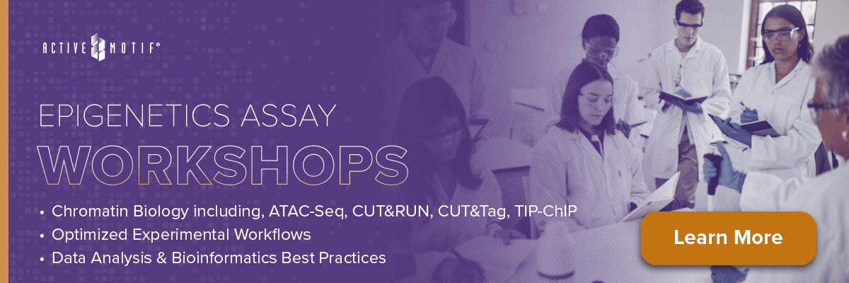 CUT&Tag Workshops