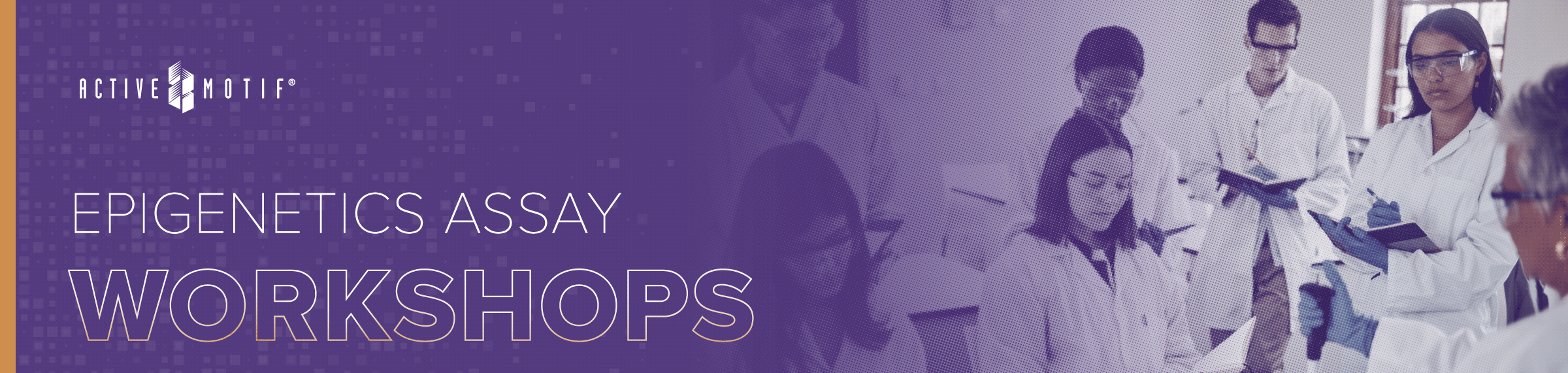 Request an Epigenetics Workshop
