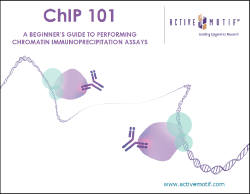 ChIP eBook 101