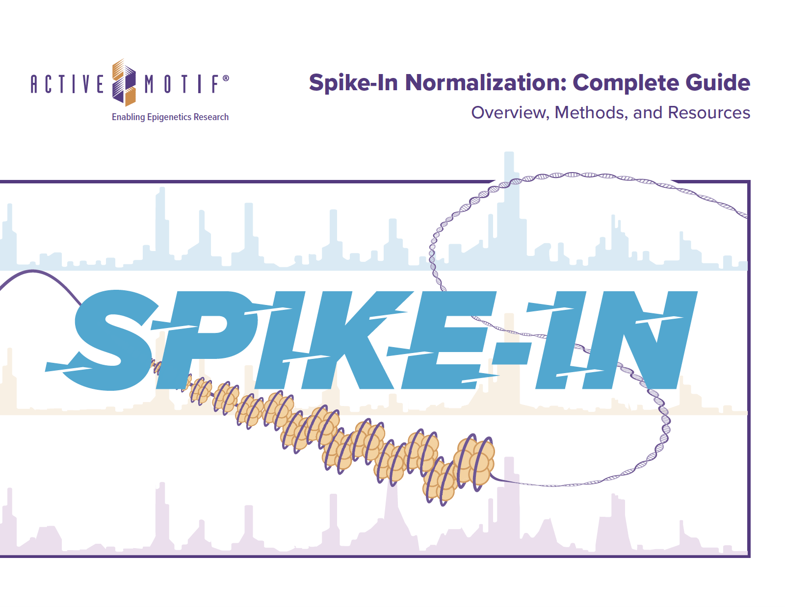 Spike-In Normalization: Complete Guide