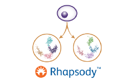 Single-Cell Multiome-Rhapsody Service