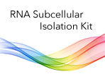 RNA Subcellular Isolation Kit