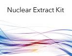 Nuclear Extract Kit