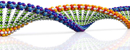 Transcriptional Regulation