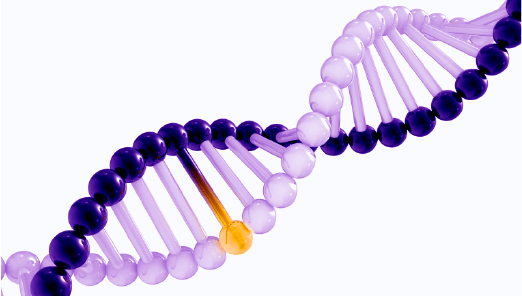 DNA Methylation Products & Services
