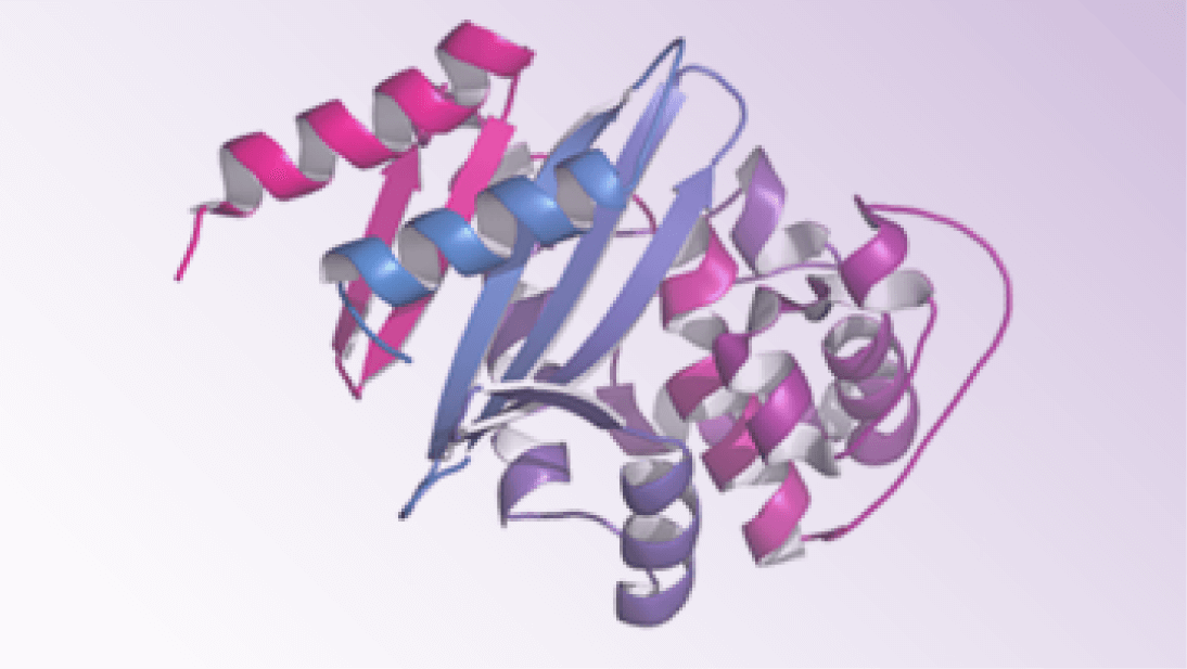 Recombinant Proteins