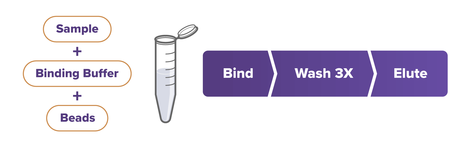 How RapCap™ Beads Work