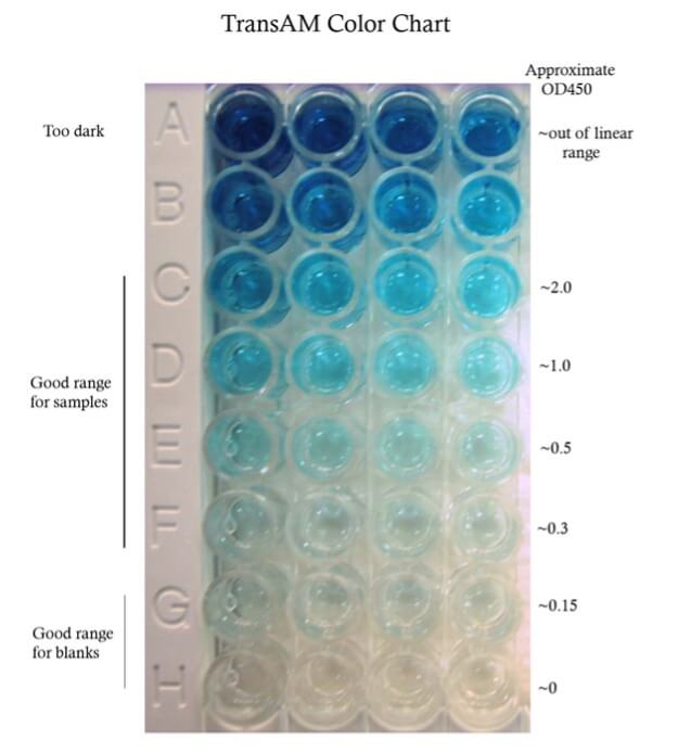 TransAM Color Chart