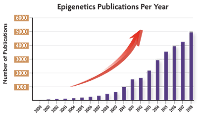 How Epigenetics & RNA Can Help Save the Honey Bees