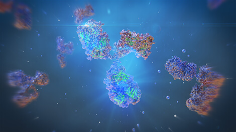 Antibody-mediated tagmentation