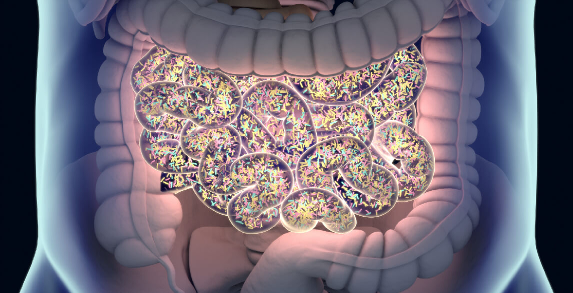 Got microbiome